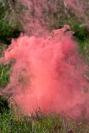 Raca dymna It's a Girl różowa 22,5cm 5 sztuk